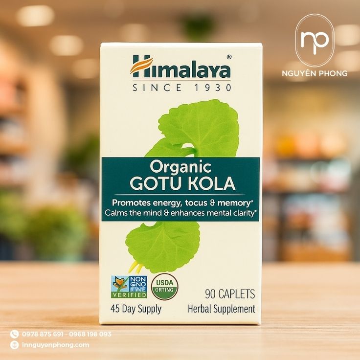 Mẫu hộp đựng bột rau má đơn giản